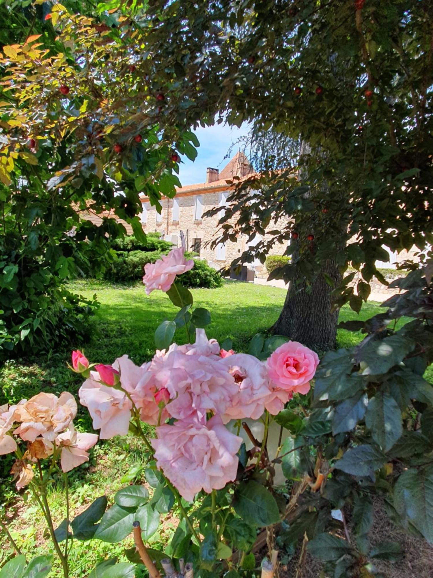 Logis Hotel Le Prince Noir Serignac-sur-Garonne Exterior photo